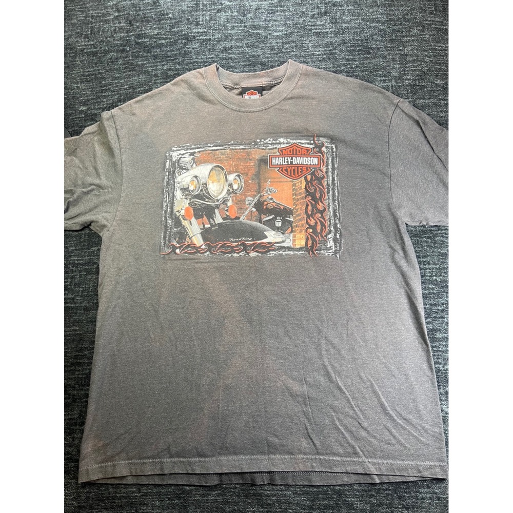 Harley-Davidson T-Shirt Mens XL Gray Taku Juneau Alaska Sea‎ Lion Graphic Tee